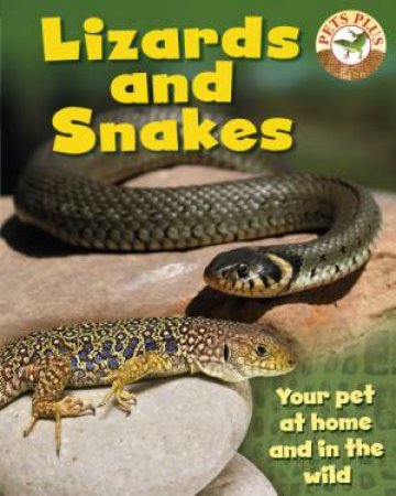 Pets Plus: Lizards and Snakes by Sally Morgan