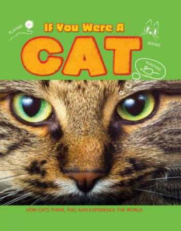 If You Were A Cat by Clare Hibbert