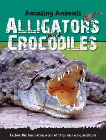 Amazing Animals : Alligators and Crocodiles by Sally Morgan