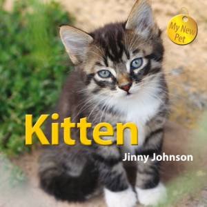 My New Pet Kitten by Jinny Johnson