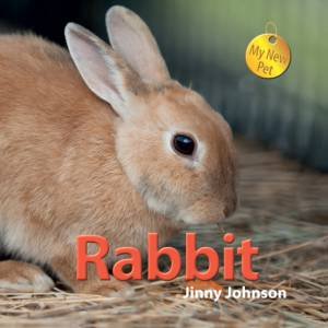 My New Pet Rabbit by Jinny Johnson