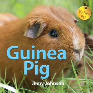 My New Pet Guinea Pig by Jinny Johnson 