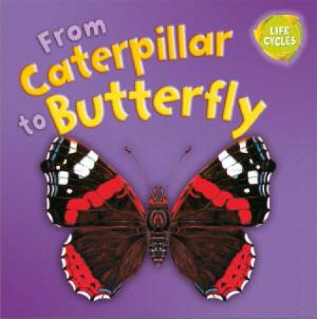 Lifecycles: From Caterpillar to Butterfly by Gerald Legg