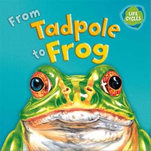 Lifecycles: From Tadpole To Frog by David Stewart