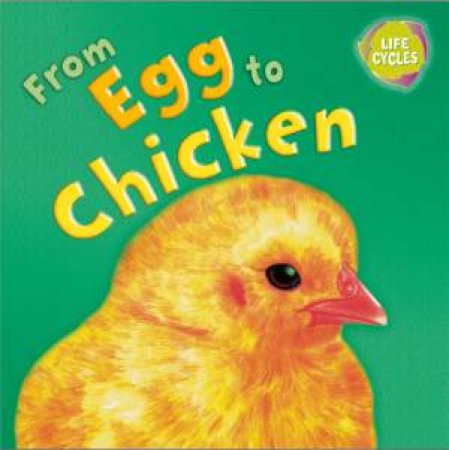 Lifecycles: From Egg To Chicken by Gerald Legg