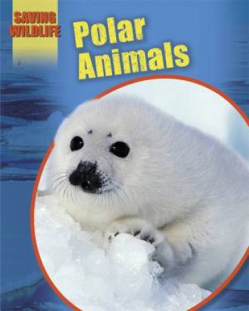 Saving Wildlife: Polar Animals by Sonya Newland