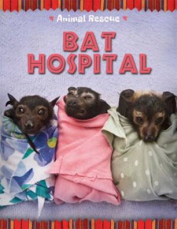 Animal Rescue: Bat Hospital by Clare Hibbert