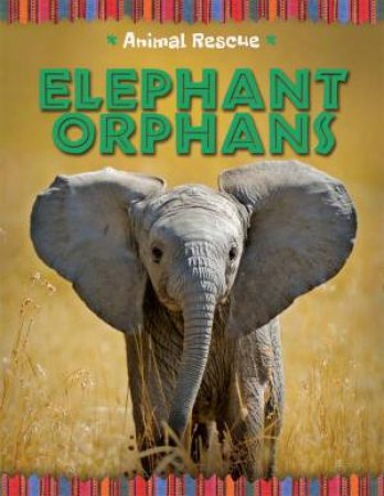 Animal Rescue: Elephant Orphans by Clare Hibbert