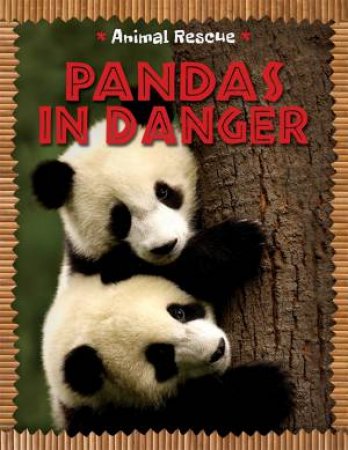 Animal Rescue: Pandas in Danger by Clare Hibbert