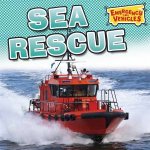 Emergency Vehicles Sea Rescue