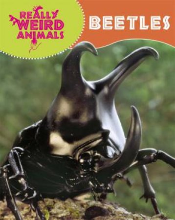 Really Weird Animals: Beetles by Clare Hibbert