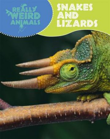 Really Weird Animals: Snakes and Lizards by Clare Hibbert