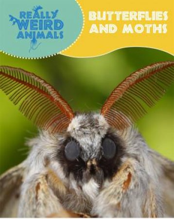 Really Weird Animals: Butterflies and Moths by Clare Hibbert