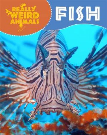 Really Weird Animals: Fish by Clare Hibbert