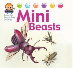 Nora the Naturalist's Animals: Minibeasts by David West