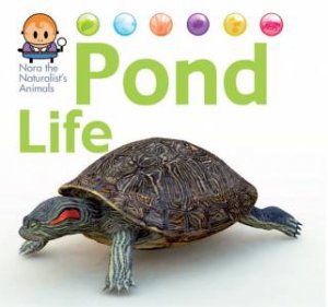 Nora the Naturalist's Animals: Pond Life by David West