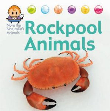 Nora the Naturalist's Animals: Rock Pool Animals by David West