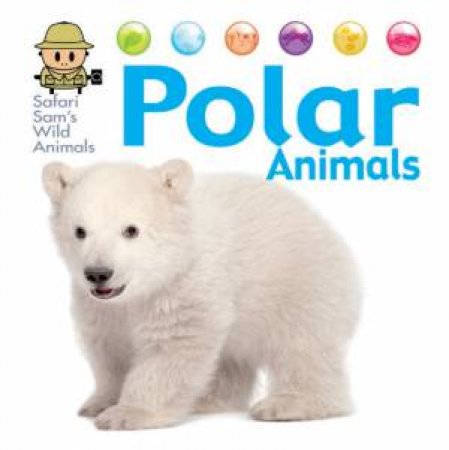 Safari Sam's Wild Animals: Polar Animals by David West