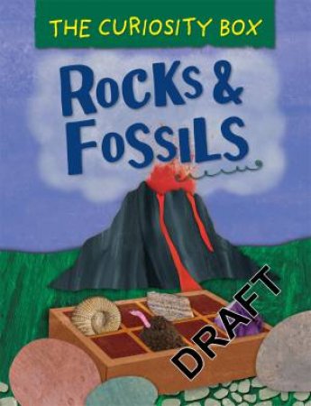 The Curiosity Box: Rocks And Fossils by Peter Riley