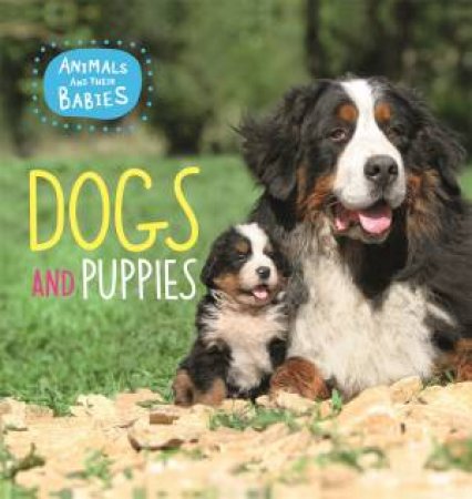 Animals And Their Babies: Dogs & Puppies by Annabelle Lynch