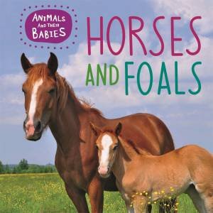 Animals And Their Babies: Horses And Foals by Annabelle Lynch