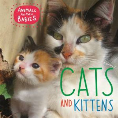 Animals And Their Babies: Cats And Kittens by Annabelle Lynch