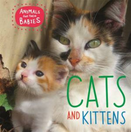 Animals And Their Babies: Cats & Kittens by Annabelle Lynch