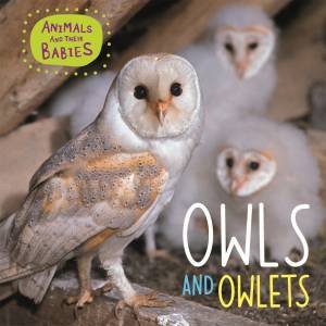 Animals And Their Babies: Owls And Owlets by Annabelle Lynch