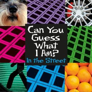 Can You Guess What I Am?: In The Street by JP Percy