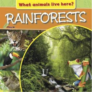 What Animals Live Here?: Rainforests by M J Knight