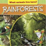 What Animals Live Here Rainforests