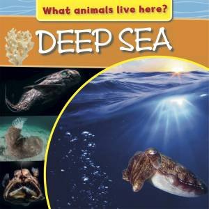 What Animals Live Here?: Deep Sea by M J Knight