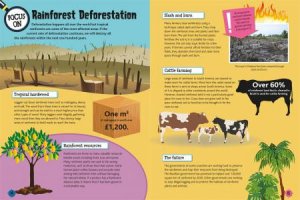 Geographics: Earth's Resources by Izzi Howell