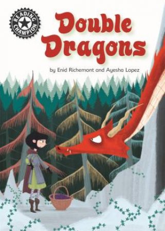 Reading Champion: Double Dragons by Enid Richemont