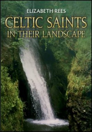 Celtic Saints by Elizabeth Rees