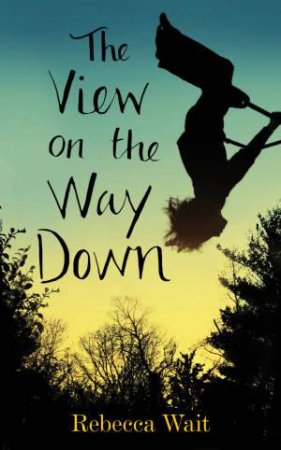 The View on the Way Down by Rebecca Wait