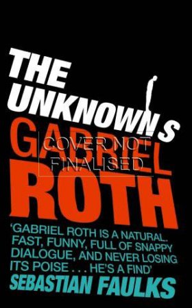 The Unknowns by Gabriel Roth