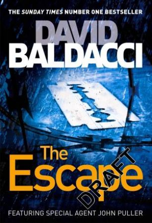 The Escape by David Baldacci