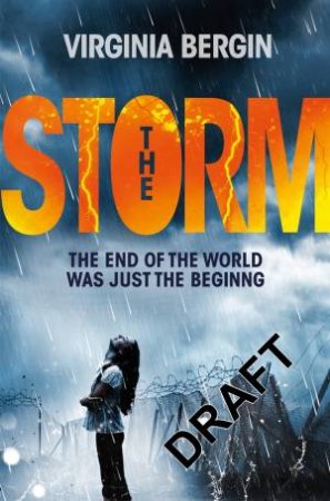 The Storm by Virginia Bergin