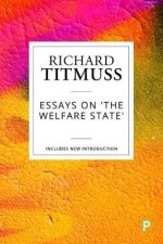 Essays On The Welfare State