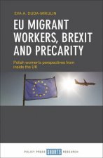 EU migrant workers Brexit and precarity