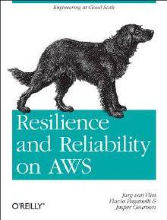 Resilience And Reliability On AWS by Jurg Van Fliet