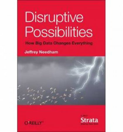 Disruptive Possibilities: How Big Data Changes Everything by Jeffrey Needham