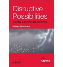 Disruptive Possibilities How Big Data Changes Everything