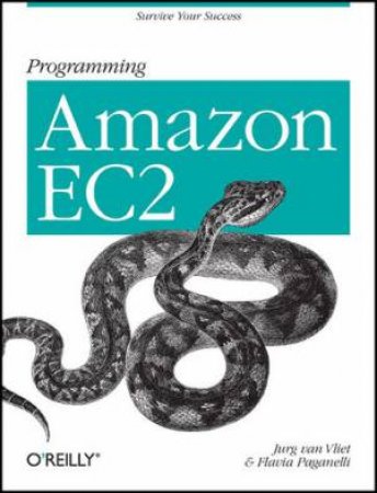 Programming Amazon EC2 by Jurg van Vliet