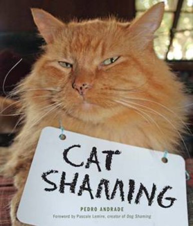 Cat Shaming by Pedro Andrade