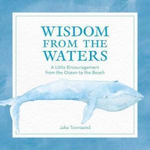 Wisdom From The Shore by Jake Townsend