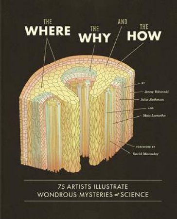 The Where, the Why, the How by enny Volvovski &  Julia Rothman & Matt Lamothe