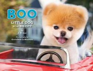 Boo: Little Dog in the Big City by J.H. Lee & G. LeMaistre