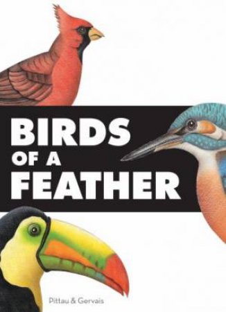 Birds of a Feather by Francesco Pittau & Bernadette Gervais